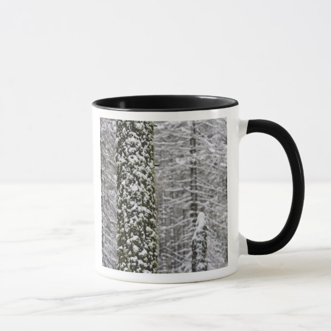 Snow covered tree trunks in Yosemite valley - Mug (Right)