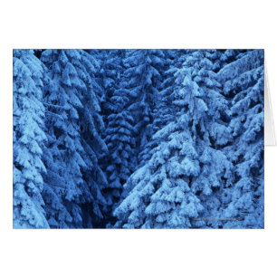 snow covered trees