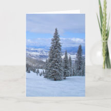 Snow-Covered Trees and Mountains