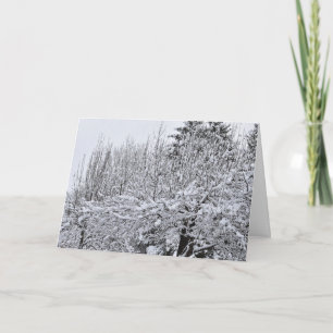 Snow Covered Trees Card