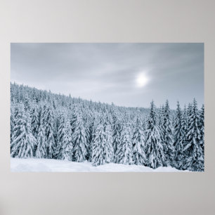 SNOW COVERED TREES DURING DAYTIME POSTER