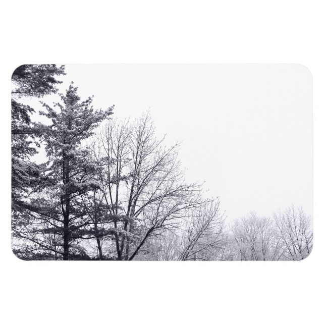 Snow-covered Trees: Horizontal Magnet (Horizontal)