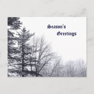 Snow-covered Trees: Horizontal Postcard