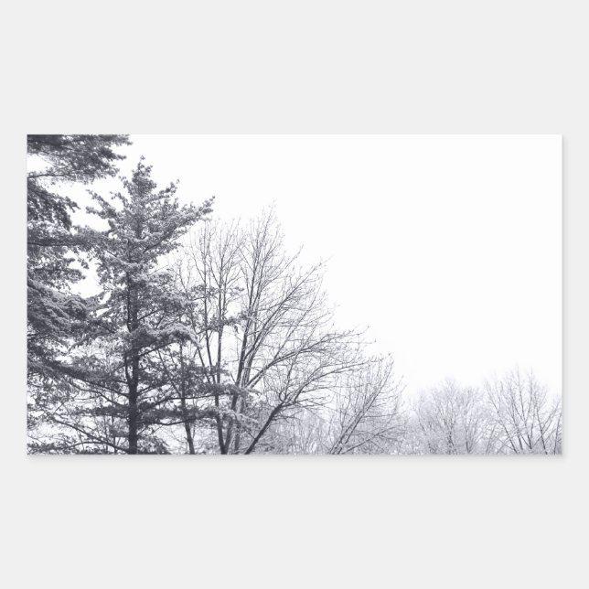 Snow-covered Trees: Horizontal Rectangular Sticker (Front)
