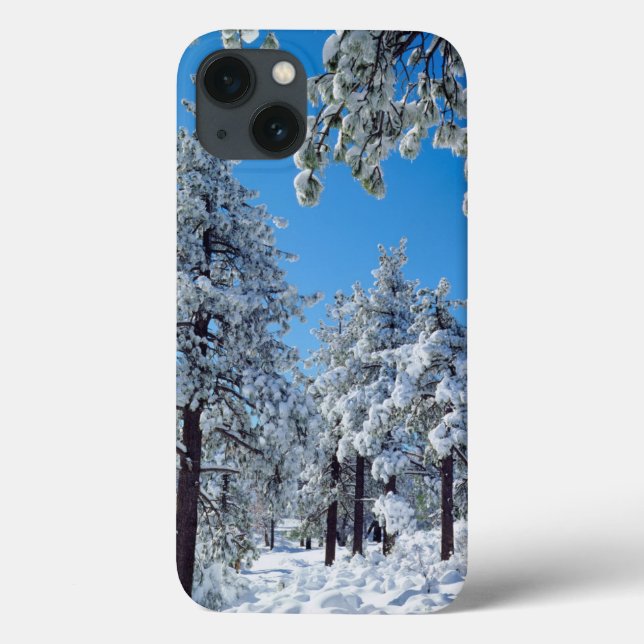 Snow-covered trees in the Laguna Mountains Case-Mate iPhone Case (Back)