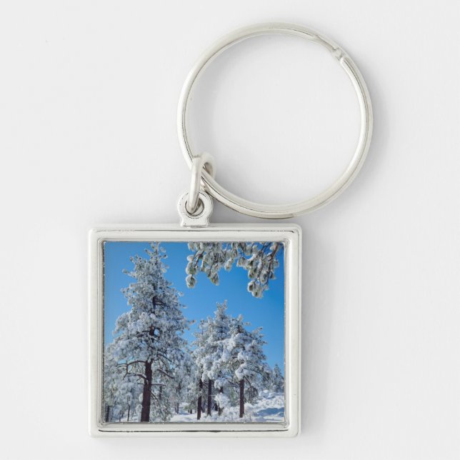 Snow-covered trees in the Laguna Mountains Key Ring (Front)