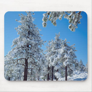 Snow-covered trees in the Laguna Mountains Mouse Mat
