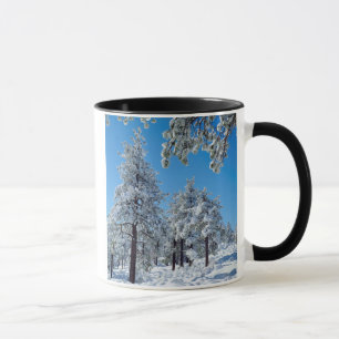Snow-covered trees in the Laguna Mountains Mug