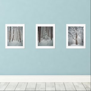 Snow covered trees in the misty winter forest 