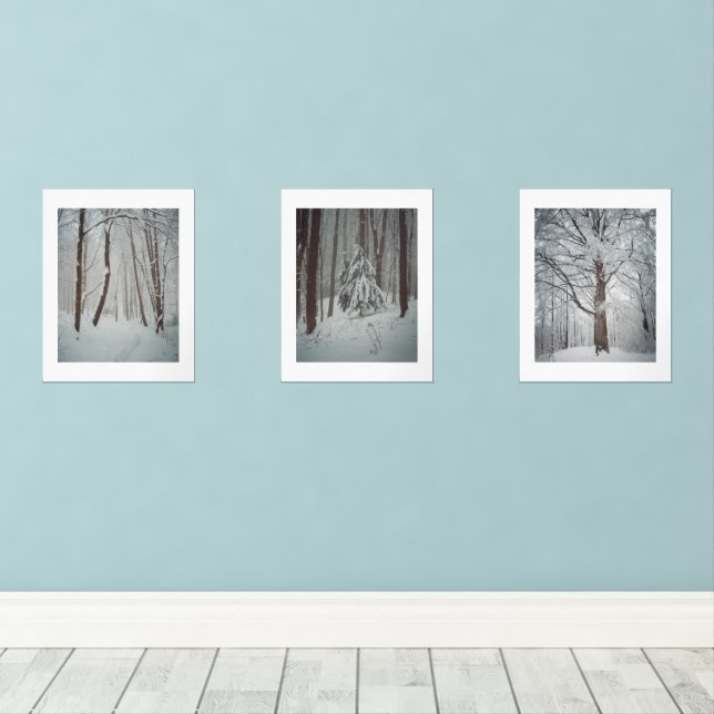 Snow covered trees in the misty winter forest  (Wood Floor)
