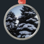 Snow-Covered Trees Ornament<br><div class="desc">You can learn more about this contest and join in the fun at  http://www.squidoo.com/are-you-a-photographer</div>