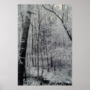 Snow Covered Trees Poster