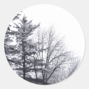 Snow Covered Trees Winter Photo Classic Round Sticker