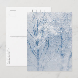 Snow-covered Trees Winter Photo Postcard