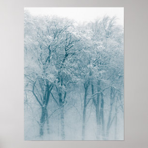 Snow-covered Trees Winter Photo Poster