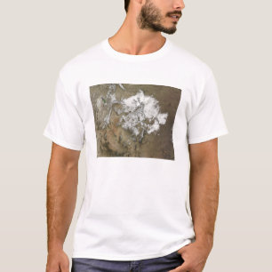 Snow covers the Rocky Mountains in United State T-Shirt