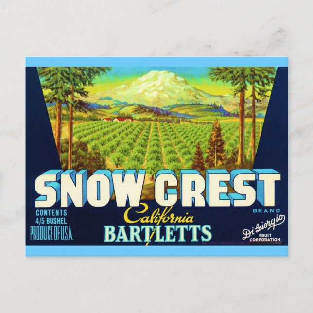 Snow Crest Postcard (Front)