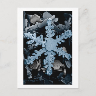 Snow Crystal 2 Postcard