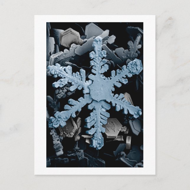 Snow Crystal 2 Postcard (Front)
