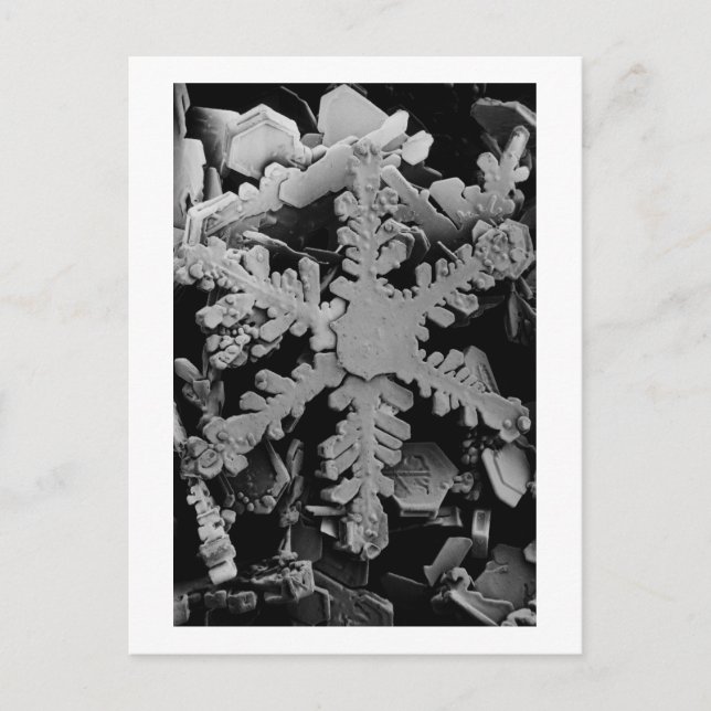 Snow Crystal Postcard (Front)