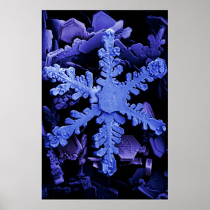 Snow Crystals Poster