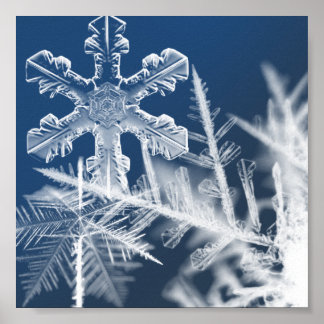 snow crystals poster
