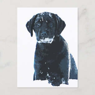 Snow Crystals - Snow Labrador - Black Lab Puppy Postcard