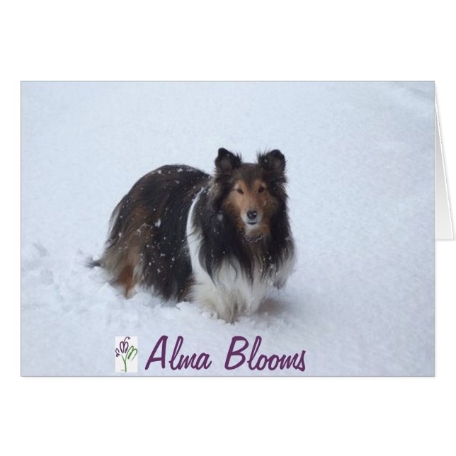 Snow Day (Front Horizontal)