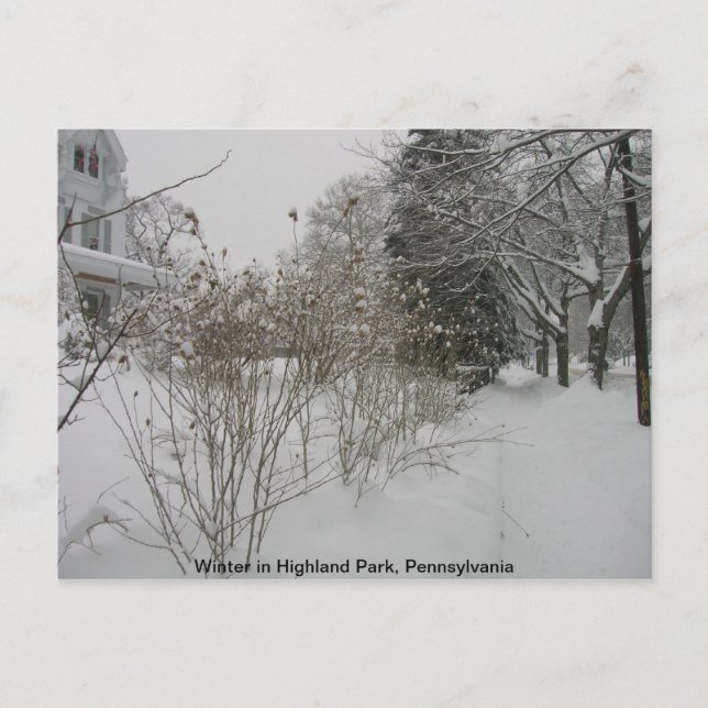 Snow Day Postcard (Front)