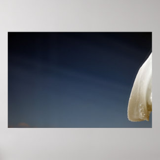 Snow day poster