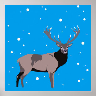 Snow Deer Poster