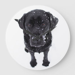 Snow Dog - Labrador Puppy - Black Labrador Large Clock