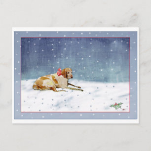 Snow Dog Postcard