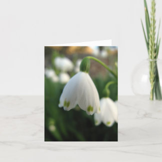 Snow Drop Flower Note card
