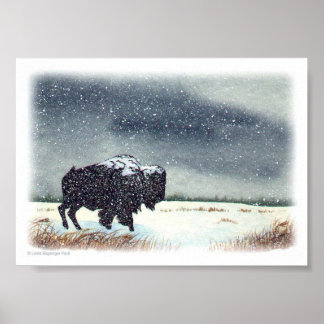 Snow Dusted Bison Painting Poster