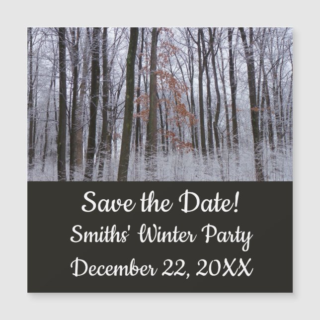 Snow Dusted Forest Winter Landscape Photography (Front)