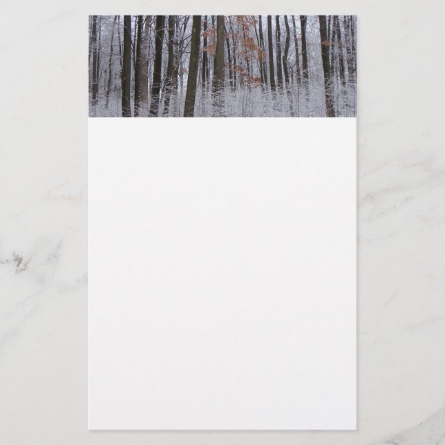 Snow Dusted Forest Winter Landscape Photography Stationery (Front)