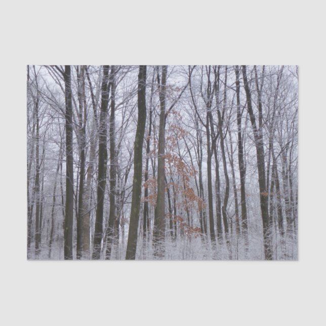 Snow Dusted Forest Winter Landscape Photography Tissue Paper (Front)