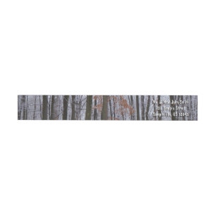 Snow Dusted Forest Winter Landscape Photography Wrap Around Label