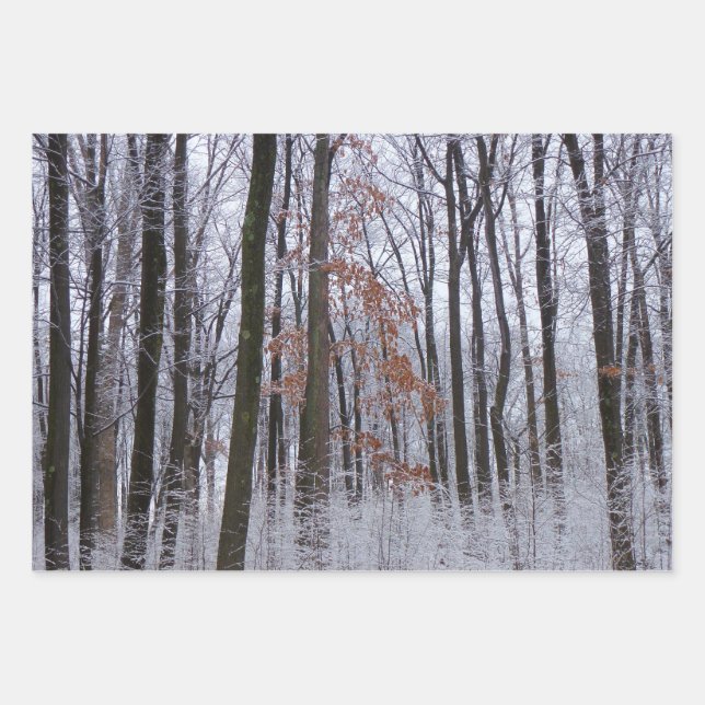 Snow Dusted Forest Winter Landscape Photography Wrapping Paper Sheet (Front)