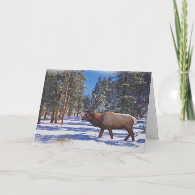 Snow Elk Holiday Card (Front)