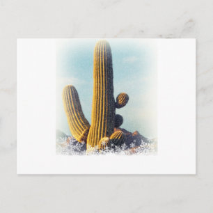 Snow Falling on Saguaro Postcard
