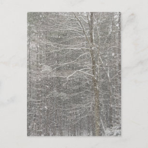 Snow Falling Postcard