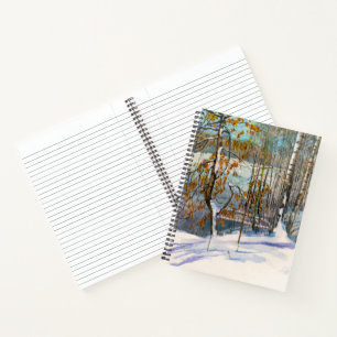 Snow fell notebook