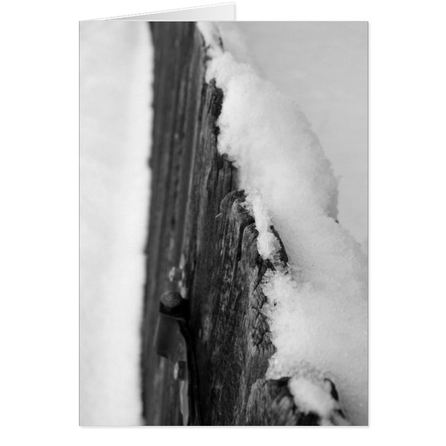 Snow Fence (Front)