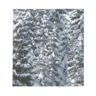 Snow Fir Tree Texture Notepad