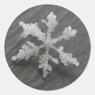 Snow Flake 44 ~ stickers