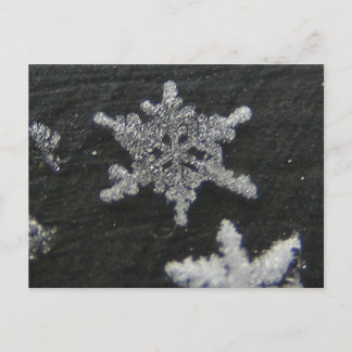 Snow Flake 56 ~ postcard