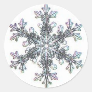 Snow flake classic round sticker