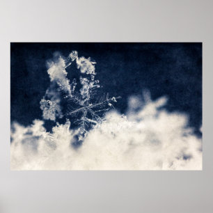 Snow Flake Poster